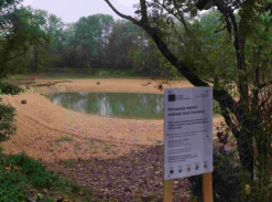 Novostavba retenční mokřadní tůně Chorušice