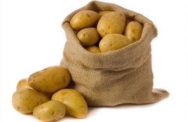 Prodej záhumenkových brambor v 1.zemědělské a.s. Chorušice 1