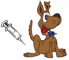 Očkování psů v našich obcích 1